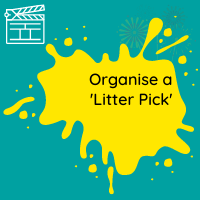 Organise a litter pick