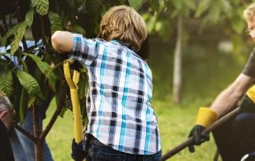 Image shows a group of people gardening